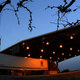 Image for article titled The Best Little Checkpoint In Texas